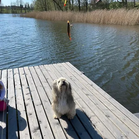 Dom wakacyjny Luksusowe Mazury
