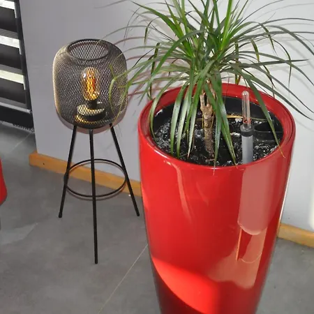 Luksusowe Mazury Mrągowo